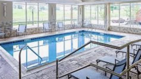 best western pet policy|Best Western Pet Policy & Pet Friendly Locations .